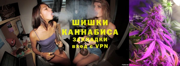 твердый Коряжма