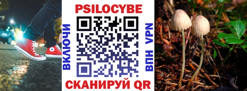 дарнет шоп  Михайловка  мега маркетплейс  Псилоцибиновые грибы Magic Shrooms 